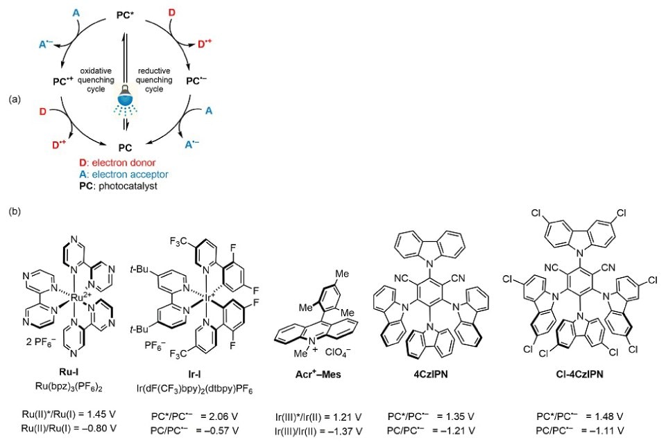 Top is the cycle representing the Single-Electron Transfer (SET) Mechanism of  photoredox catalysis and below are the chemicals structures of popular oxidizer photocatalysts (from left to right), Ru(bpz)3(PF6)2, Ir(dF(CF3)ppy)2(dtbpy)PF6, Fukuzumi’s acridinium salt (Acr+–Mes), 4CzIPN, and Cl-4CzIPN