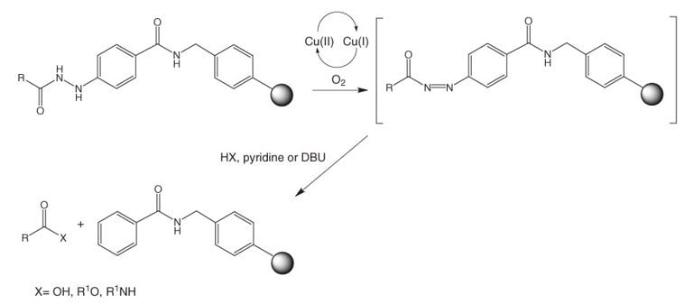 applications-fmoc-4-hydrazinobenzoyl-resins