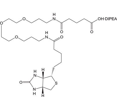 N-Biotinyl-NH-PEG2-COOH
