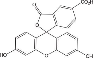 caboxyfluorescein