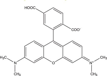carboxytetramethylrhodamine
