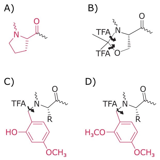 Diagram showing N‑alkyl amino acid structures used as secondary amino acid surrogates to disrupt peptide secondary structure.