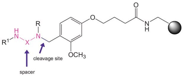 NovaTag resins Chemical structure of a resin-bound linker system with a cleavage site, represented using black lines for bonds and element symbols for atoms. A benzyl ether moiety with a methoxy (-OCH₃) group is present in the center of the structure. To the right, a peptide backbone extends, terminating in a solid black sphere, indicating the resin support. On the left side, a spacer region is labeled with a purple arrow pointing to a segment containing an amide (-NH) and a secondary amine (-N) linkage, marked in pink. Another purple arrow labeled "cleavage site" points to the bond adjacent to the secondary amine, indicating where enzymatic or chemical cleavage would occur. The structural elements are arranged to illustrate how the resin facilitates peptide synthesis and cleavage at a specific site.
