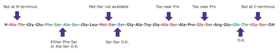 Workflow diagram illustrating where to insert amino acid surrogates within a peptide sequence to prevent on‑resin aggregation.
