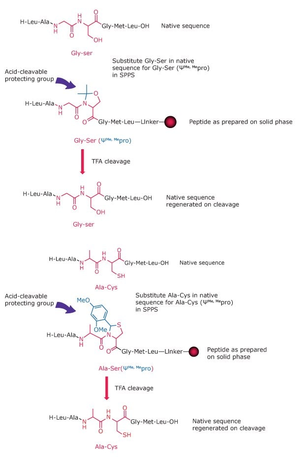 Diagram showing how pseudoproline dipeptides replace Ser, Thr, or Cys residues to disrupt structure formation during synthesis.