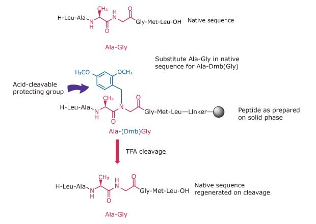  Illustration of how Dmb dipeptides substitute Gly-containing motifs to prevent aggregation and improve coupling efficiency.