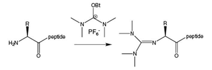 Guanidinylation caused by uronium coupling reagents.