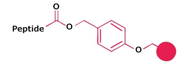 Linker for peptide acids Chemical structure of a benzyl ester linker attaching a peptide to a solid support in Fmoc solid-phase peptide synthesis.