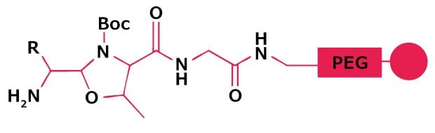 PEG‑Based Fmoc SPPS Linker for Peptide Aldehyde Chemical structure of a dimethoxy-substituted aryl amide linker used for peptide attachment in Fmoc solid-phase peptide synthesis.