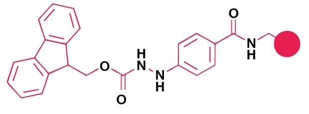 Fmoc SPPS Linker Structure for Peptide Ester Synthesis Chemical structure of a dimethoxy-substituted aryl amide linker used for peptide attachment in Fmoc solid-phase peptide synthesis.