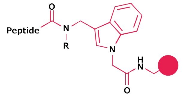 Linker for Peptide N‑Alkylamide Chemical structure of a dimethoxy-substituted aryl amide linker used for peptide attachment in Fmoc solid-phase peptide synthesis.
