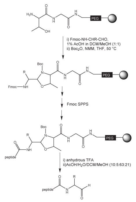 preparation-peptide-aldehydes