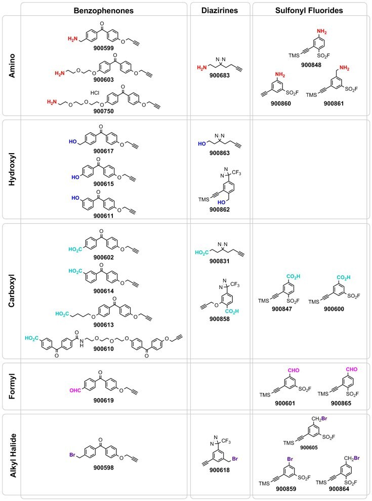 Benzophenones, Diazirines, and Sulfonyl Fluorides Benzophenones, Diazirines, and Sulfonyl Fluorides