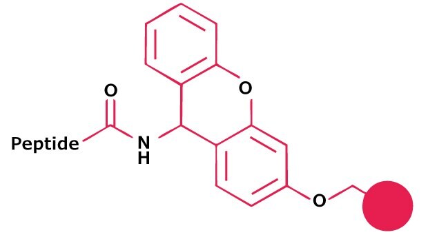 Sieber Amide resin Chemical structure of a dimethoxy-substituted aryl amide linker used for peptide attachment in Fmoc solid-phase peptide synthesis.