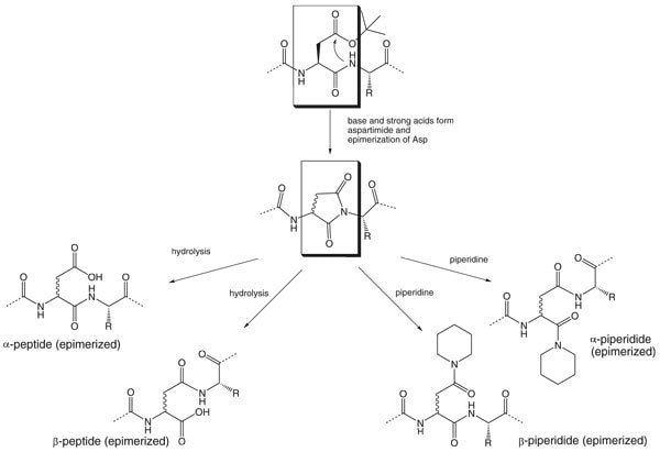 Aspartimide formation, showing potential by-products.