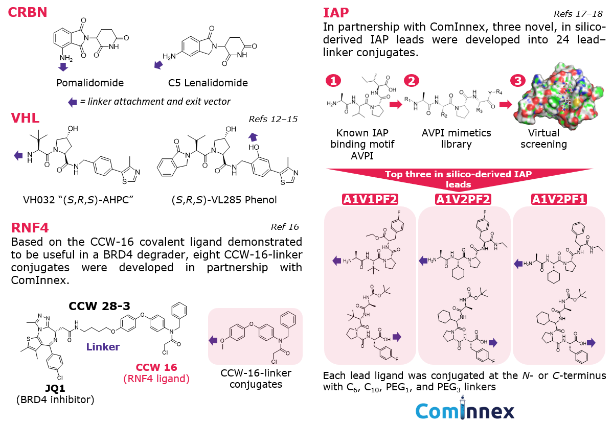 E3 Ligase ligands featured in conjugates