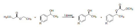 Lipase-catalyzed resolution of aryl-substituted alcohols