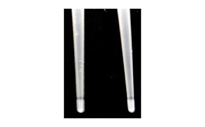 Supel BioSPME device pins A close-up view of two slender, transparent pins positioned vertically against a black background. Each pin has a slightly rounded tip and features a visible 2 mm coating near the tip, indicative of a C18 coating. The coating appears as a faint, slightly darker band on the otherwise smooth and uniform surface of the pins. The pins are evenly spaced and parallel to each other, showcasing their fine and precise construction.