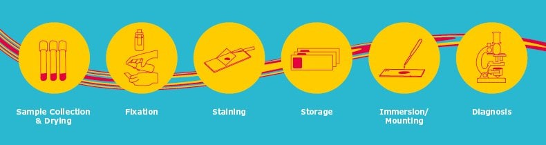 Staining Kits workflows