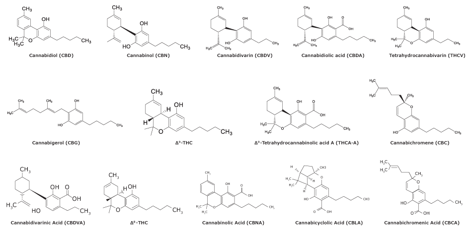 Chemical structures of fourteen cannabinoids used in the study to analyze cannabinoids in cannabis 