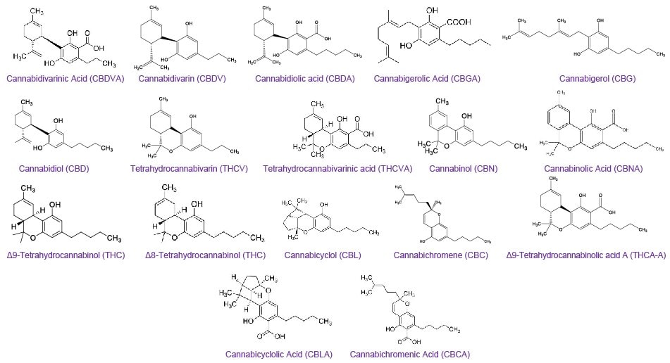 Chemical structures of seventeen cannabinoids Chemical structures of seventeen cannabinoids analyzed by HPLC-PDA (high-performance liquid chromatography - photodiode array)