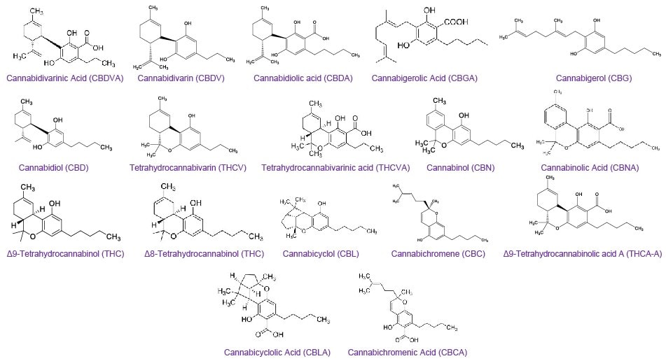 Chemical structures of seventeen cannabinoids analyzed by HPLC-PDA (high-performance liquid chromatography - photodiode array)