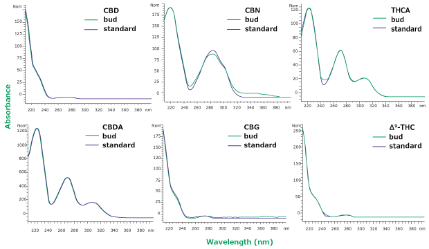 An overlay of UV spectra for hemp bud sample (Red) and standard solution (blue) at same retention time for 6 cannabinoids CBD, CBG, CBDA, CBN, ∆9-THC, and THCA 