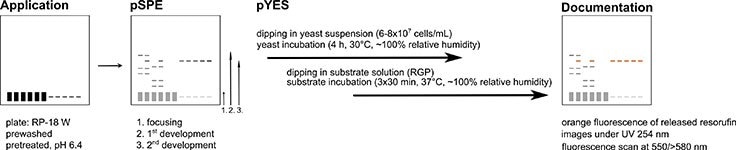 Workflow of planar solid phase extraction