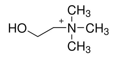 Chemical structure of choline Structural formula of choline showing a hydroxyethyl chain attached to a quaternary trimethylammonium group.