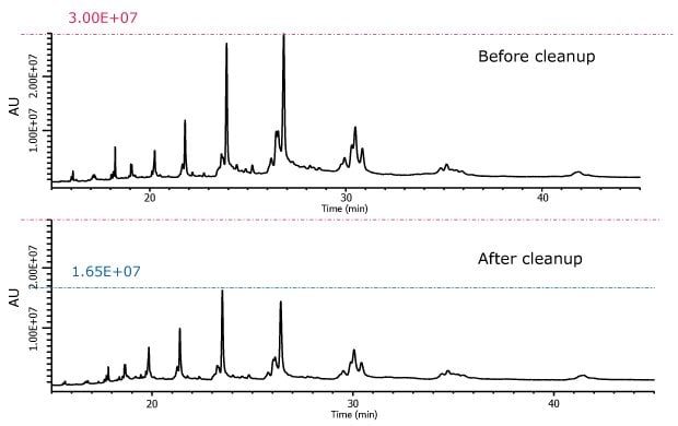 Two chromatograms comparing cow’s milk extract before and after cleanup using Z-Sep, plotted on a shared X-axis labeled "Time (min)" ranging from 10 to 45 minutes. The Y-axis, labeled "AU," represents absorbance units on a logarithmic scale from 1.00E+07 to 3.00E+07, consistent across both graphs. The upper chromatogram, labeled "Before cleanup," shows numerous sharp and intense peaks, particularly between 25 and 35 minutes, with the most prominent peaks reaching the top of the Y-axis at 3.00E+07. This indicates a highly complex mixture containing significant interfering compounds. The lower chromatogram, labeled "After cleanup," reveals a cleaner profile with fewer peaks and reduced intensity, the tallest peaks reaching approximately 1.65E+07. The reduction in peak density and height after cleanup highlights the effectiveness of Z-Sep in removing impurities and simplifying the sample matrix for GC-MS analysis.