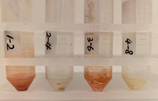 ASE extracts from popcorn bag, compostable bowl, grease-proof paper, and french fries bag dried under nitrogen in sample tubes.