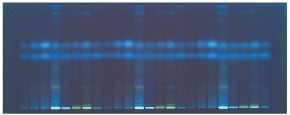 HPTLC Silica gel 60 F254s plate visualized under UV 366 nm for ascorbic and dehydroascorbic acid.