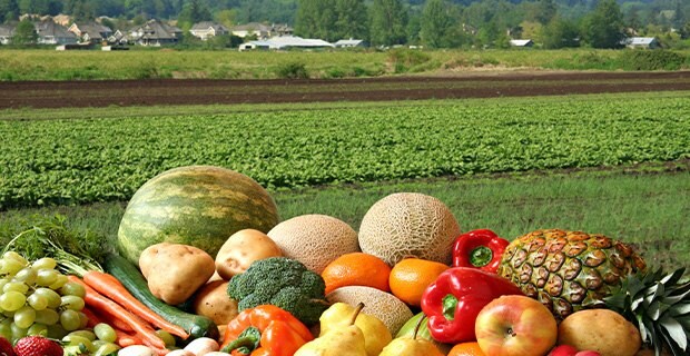 Pesticides and Residuals: History and Food Safety Pesticides and Residuals: History and Food Safety