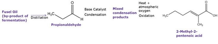 Navigating Natural Flavor Regulations A synthesis diagram leading with the distillation of fusel oil into propionaldehyde, followed by base catalyst condensation resulting in mixed condensation products. These products undergo oxidation via heat and atmospheric oxygen, yielding 2-methyl-penenoic acid.