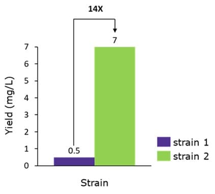 Kdo2-lipid A yield from two novel engineered strains in 50-L fermentation. Strain 2 generated a 14X yield increase over strain 1, making it the best candidate for large-scale production of Kdo2-lipid A. Note that there is no reliable baseline to calculate overall yield improvement compared to wild-type E. coli, because Kdo2-lipid A does not naturally accumulate in wild-type strains.