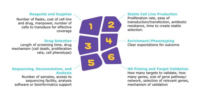 considerations-for-screening