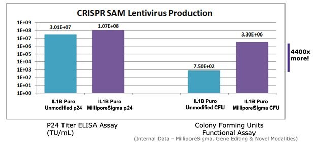 crispr-sam-letivirus-production-graph-ms