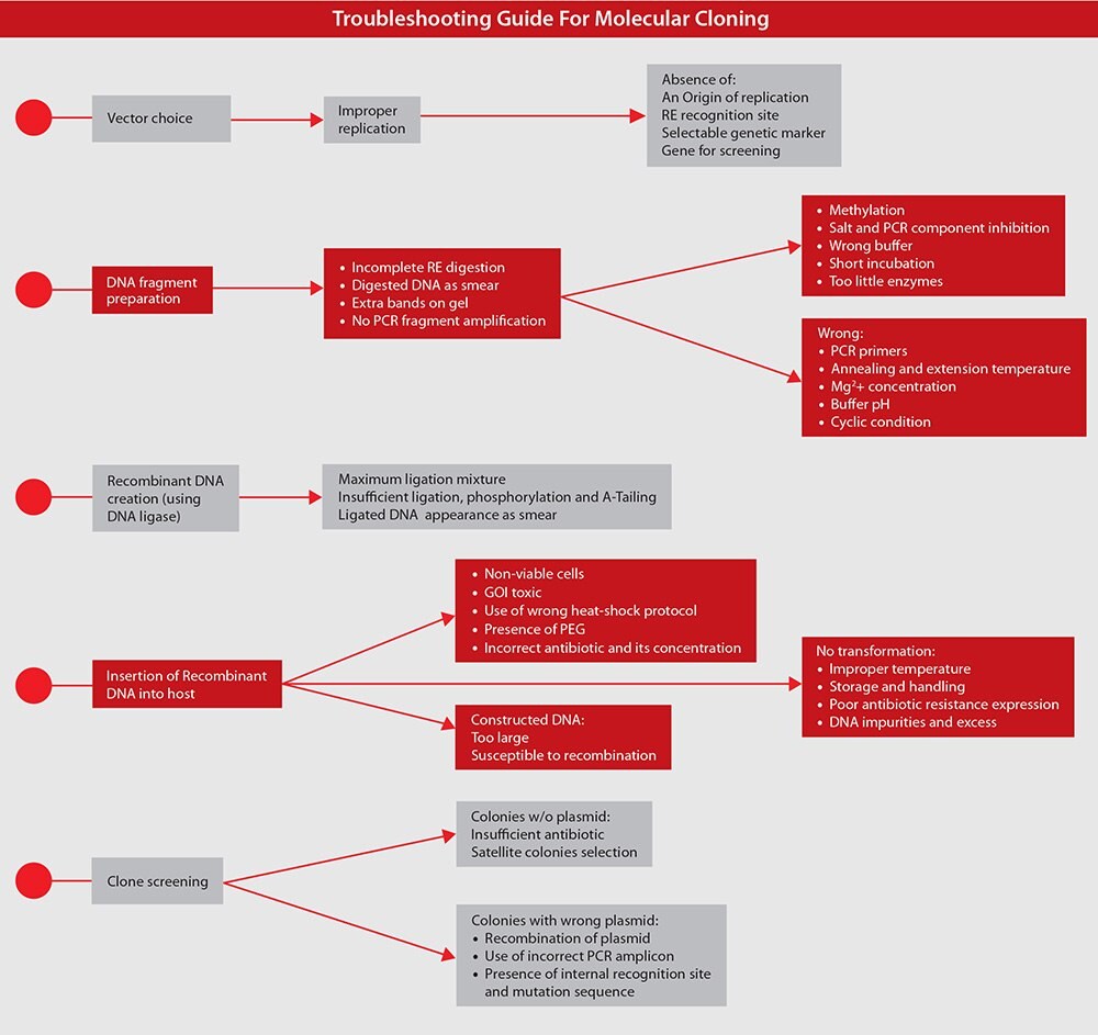 分子克隆的问题解决指南