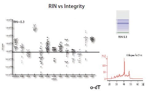 RNA samples from HT29 cells with RIN approximately 5 were reverse transcribed using oligo-dT and the 3’/5’ ratio (y axis) determined for each of 13 genes (X axis). There is a wide spread of data for replicates. (Data kindly provided by Prof. Stephen Bustin, UK.) RNA samples from HT29 cells with RIN approximately 5