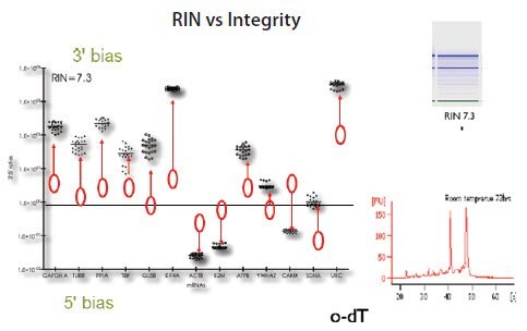 RNA samples from HT29 cells with RIN approximately 7