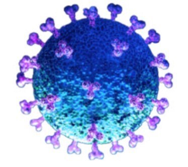 SARS-CoV-2 virus particle artist drawing