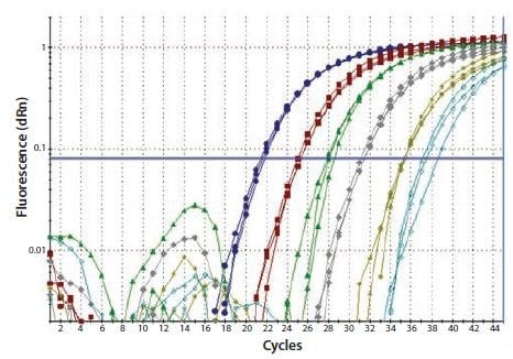 Total RNA was diluted through a serial 10-fold dilution series and a one-step RT-qPCR performed to detect GAPDH. Each reaction was performed in triplicate.