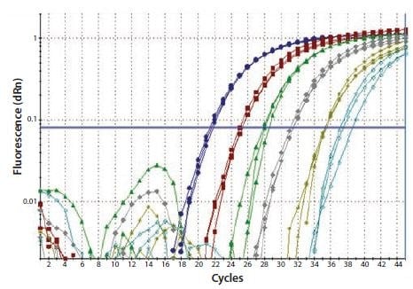 对总RNA进行10倍连续稀释，并进行一步RT-qPCR，以检测GAPDH。每个反应一式三份进行。