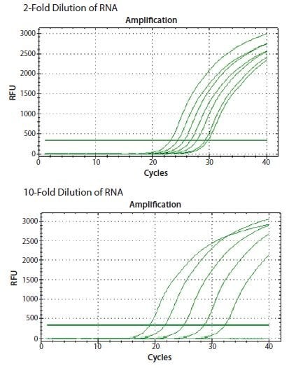 ReadyScript® RT试剂用于逆转录2倍和10倍连续稀释模板中的总RNA。