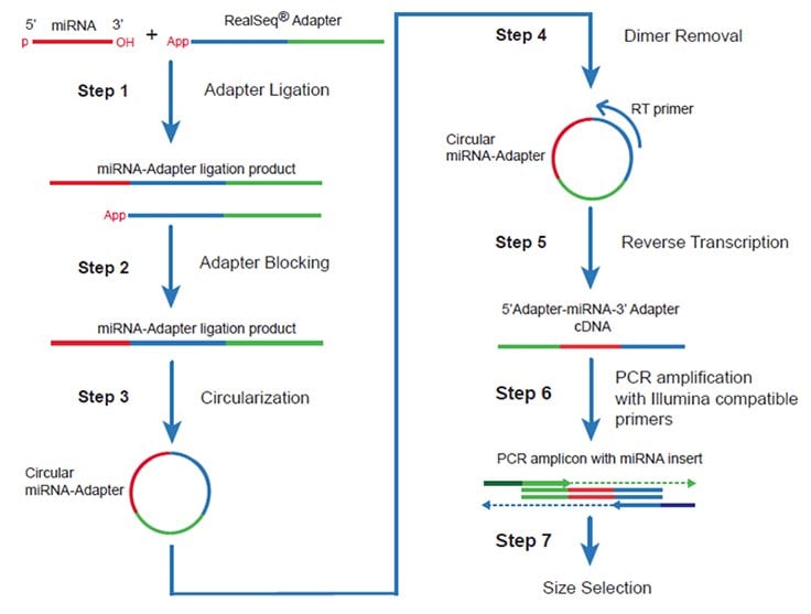 RealSeq®-AC RNA NGS library preparation and workflow