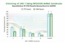 JAK 1 gene silencing.