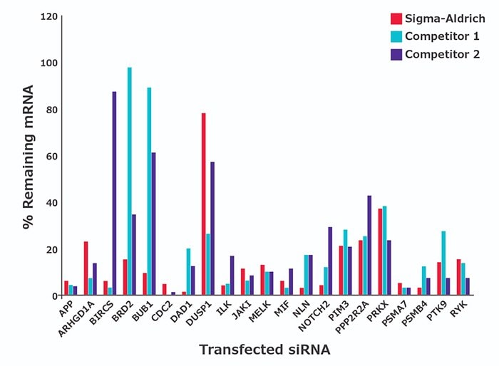 用30 nM 浓度的预设计siRNA 转染 HeLa 细胞。