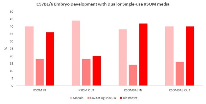 Percent morula, cavitating morula and blastocysts after 72 hours in culture under various mouse embryo media conditions. KSOM=growth in standard KSOM media. KSOMBAL= retrieval and growth in Advanced KSOM media. IN= growth media was pre-equilibrated. OUT= no pre-equilibration of media.  