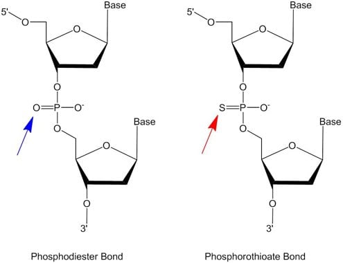 磷酸二酯和硫代磷酸盐的核苷酸间键