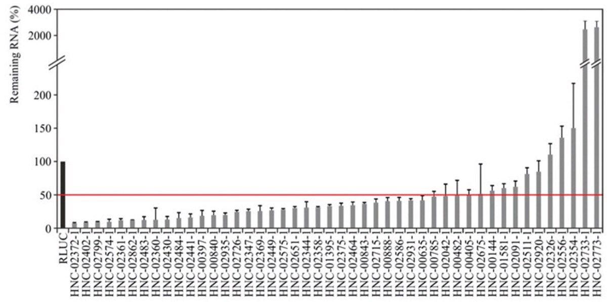 用相应 esiRNA 转染后 24 小时，通过 qPCR 数据验证 HeLa 细胞中的 lncRNA 敲低效果